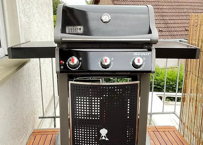 Grosses Fuer 6 - Gasgrill Citynah Parken * Lippstadt